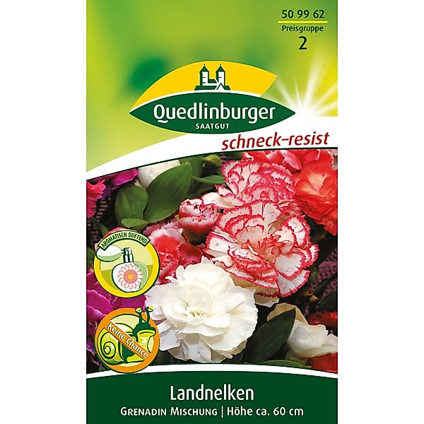 Quedlinburger Landnelke ''Grenadin Mischung'' günstig online kaufen