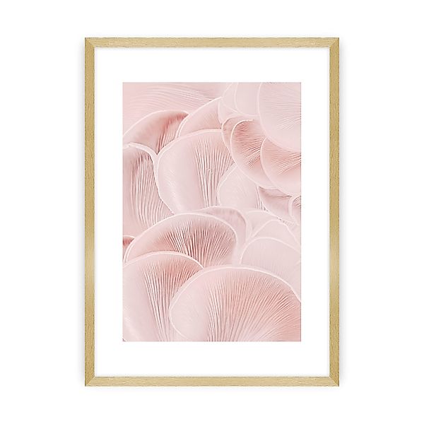 Poster Pastel Pink I, 50 x 70 cm , Ramka: Złota günstig online kaufen