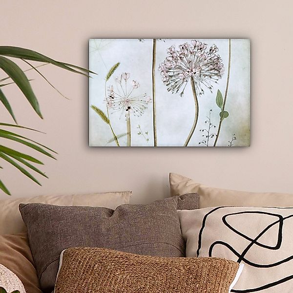 OneMillionCanvasses® Leinwandbild Blumen - Dekorative Zwiebel günstig online kaufen
