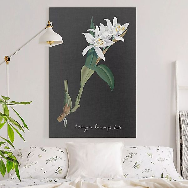 Leinwandbild Weiße Orchidee auf Leinen II günstig online kaufen