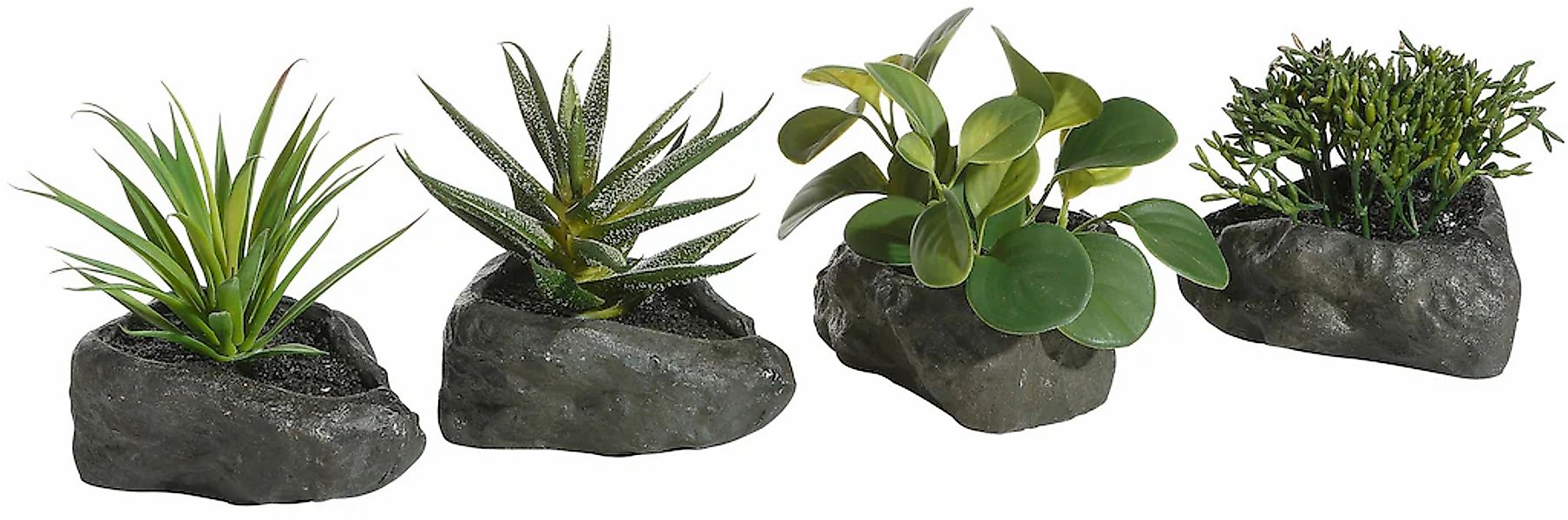 Kunstpflanze Sukkulenten, Home affaire, Höhe 12 cm, 4er Set günstig online kaufen
