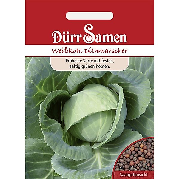Dürr Samen Weißkohl Dithmarscher Saatgut günstig online kaufen