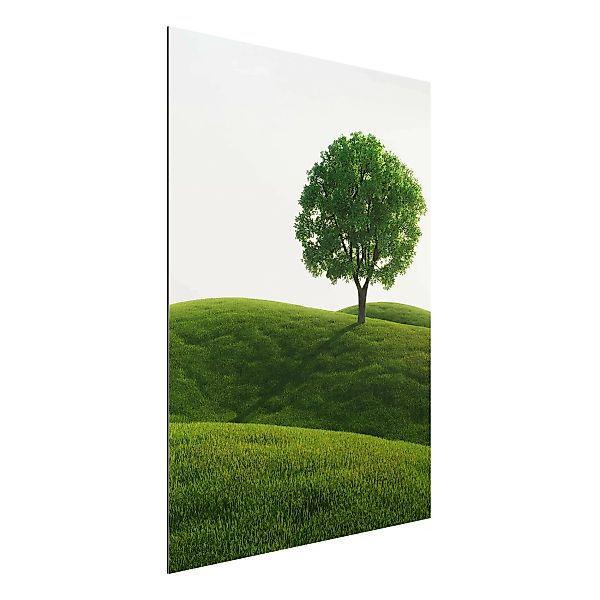 Alu-Dibond Bild Natur & Landschaft - Hochformat 3:4 Grüne Ruhe günstig online kaufen