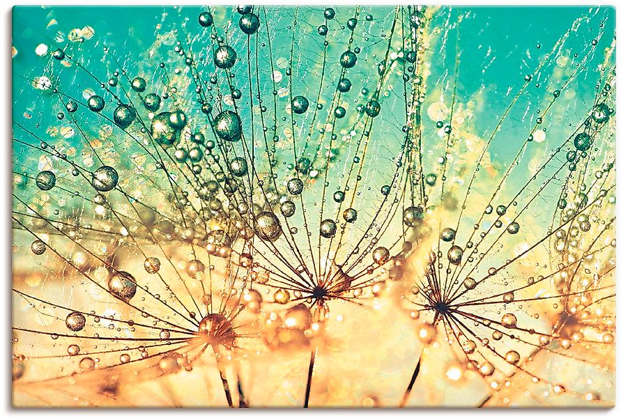 Artland Wandbild »Pusteblume Tropfenmagie«, Blumen, (1 St.), als Alubild, O günstig online kaufen