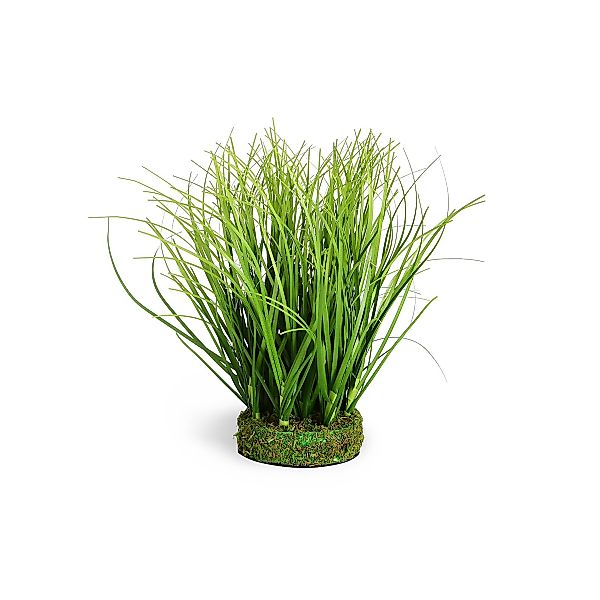 Grasbusch, L:19cm, grün günstig online kaufen