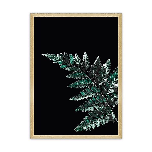 Poster Dark Fern Leaf, 50 x 70 cm, Rahmen wählen: gold günstig online kaufen