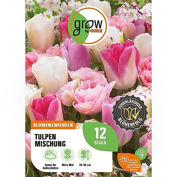 GROW by OBI Tulpen Mischung Nr. 3 / 12 Stück Tulipa mix günstig online kaufen