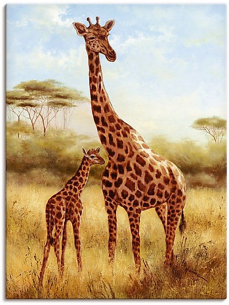 Artland Leinwandbild Giraffe, Wildtiere (1 St), günstig online kaufen