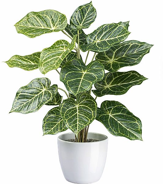 Künstliche Zimmerpflanze Nephtytispflanze Grünpflanze, Creativ green, Höhe günstig online kaufen