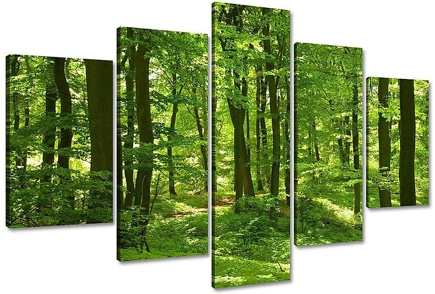 Visario Bild, 6411 günstig online kaufen