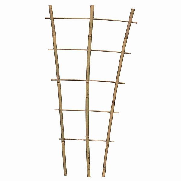 Siena Garden Rankgitter Bambus Rankgitter 60 günstig online kaufen