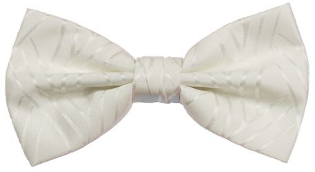 Paul Malone Fliege Herren Schleife modern günstig online kaufen