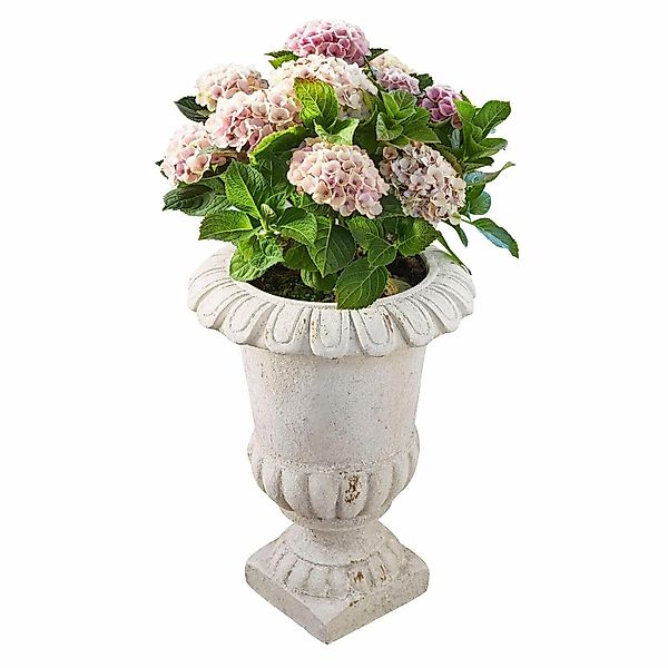 Mirabeau Übertopf Amphore Sivento grau günstig online kaufen