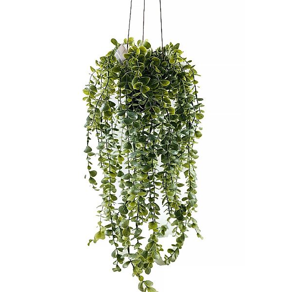 Kunstpflanze Zimmerpflanze, Home & styling collection günstig online kaufen