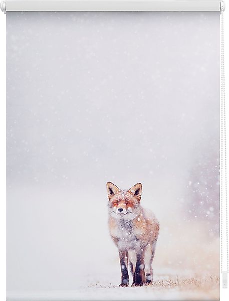 Seitenzugrollo Klemmfix Motiv Fuchs im Schnee, günstig online kaufen