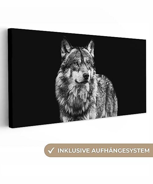 OneMillionCanvasses® Leinwandbild Panorama Wolf - Tiere günstig online kaufen