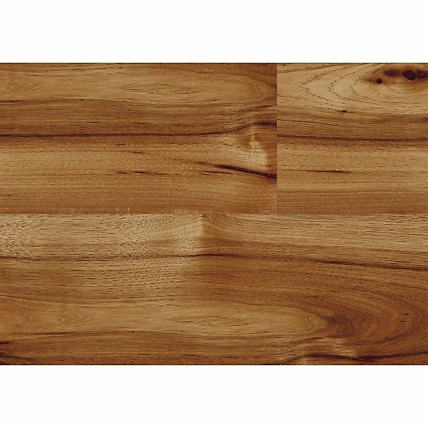 Kaindl Masterfloor Laminat 8 mm Hickory Bravo günstig online kaufen