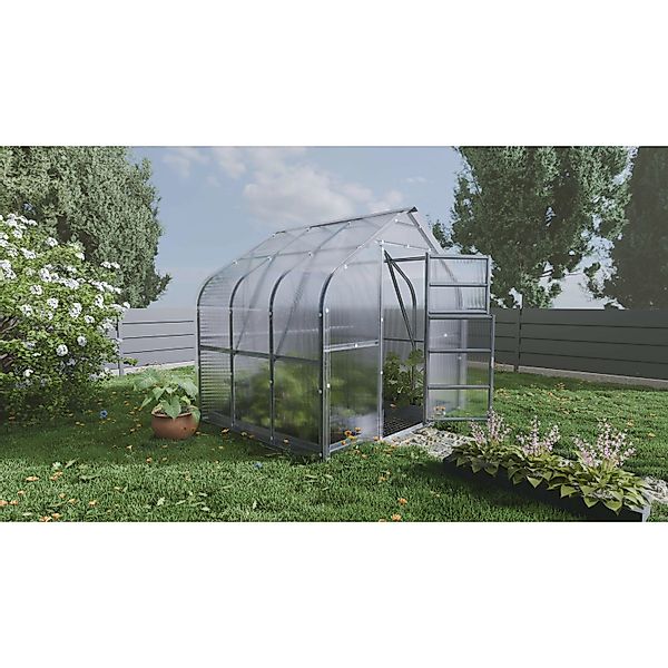 Klasika Greenhouses Standart KLASIKA Gewächshaus 5m², 2,5m x 2m mit 6 mm Po günstig online kaufen