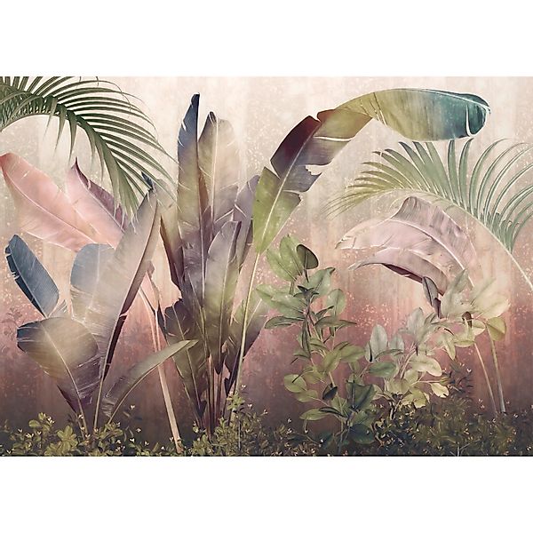Komar Vliestapete Rainforest Mist  350 x 250 cm günstig online kaufen