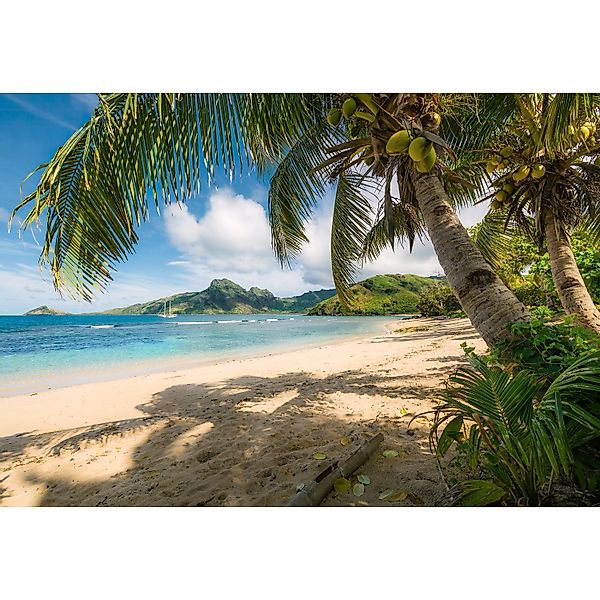 Komar Tapete Castaway  368 x 254 cm günstig online kaufen