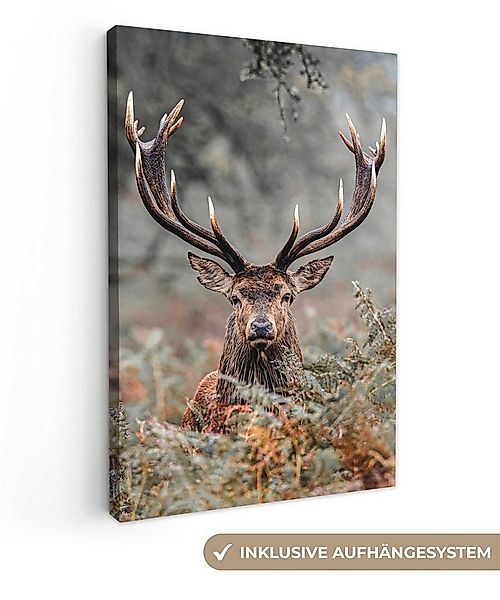 OneMillionCanvasses® Leinwandbild Hirsche - Natur - Herbst - Waldtiere, Fot günstig online kaufen