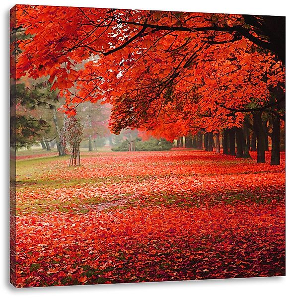 Pixxprint Leinwandbild Rot gefärbter Park im günstig online kaufen