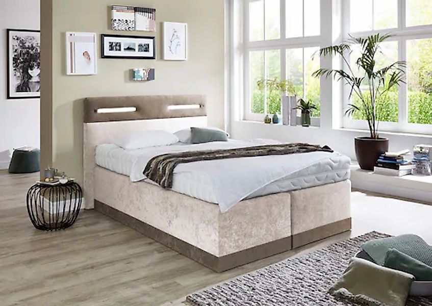 Westfalia Schlafkomfort Boxspringbett mit Zierkissen und verchromten Kufen, günstig online kaufen