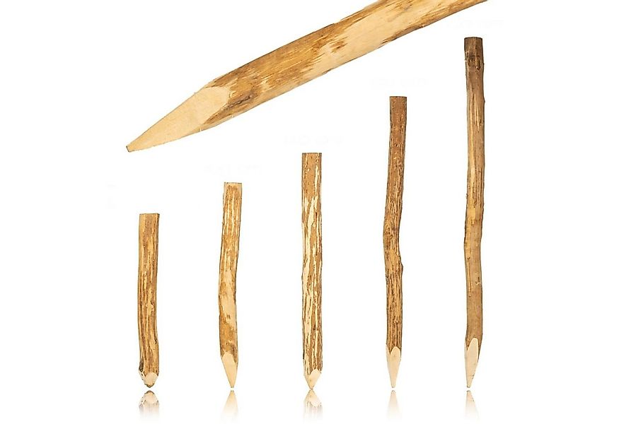 BooGardi Zaunpfosten Zaunpfahl Haselnuss, (Baumpfahl spitz 90cm · viele Grö günstig online kaufen