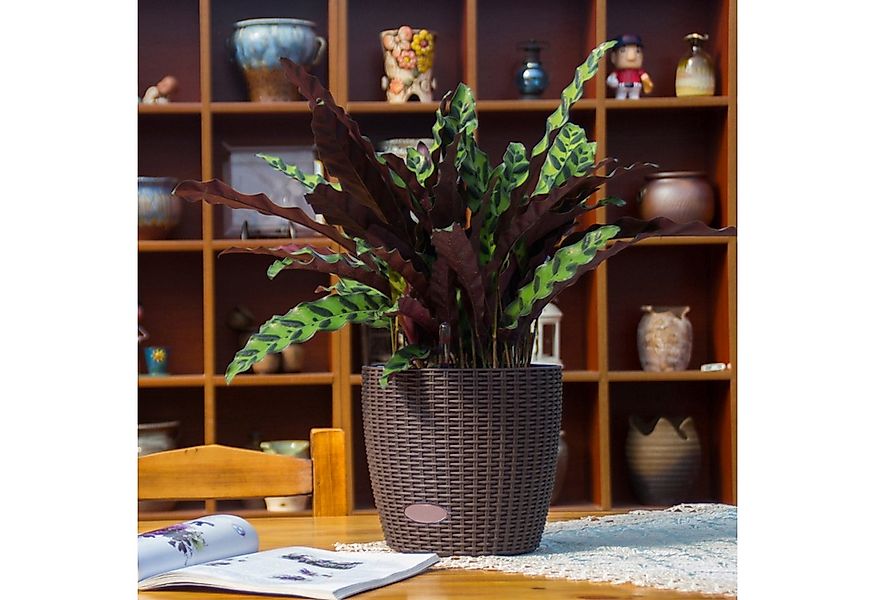 HTI-Living Blumentopf Blumentopf Hydro Ø 21 cm 2er Set Nessa Braun (Set, 2 günstig online kaufen