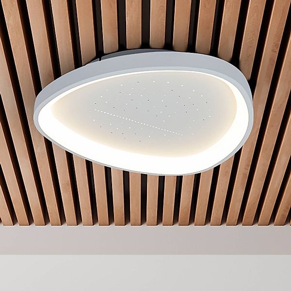 LED-Deckenleuchte Argesa Ø 60,5 cm, weiß, CCT, Fernbedienung günstig online kaufen