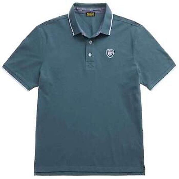 Blauer  Poloshirt - günstig online kaufen
