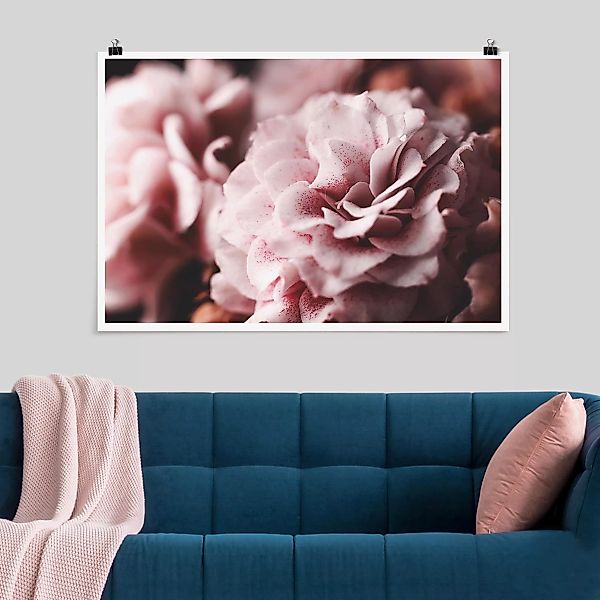 Poster - Querformat Shabby Rosa Rose Pastell günstig online kaufen