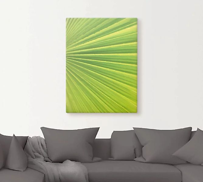 Artland Leinwandbild "Palmenblätter", Blätter, (1 St.), auf Keilrahmen gesp günstig online kaufen