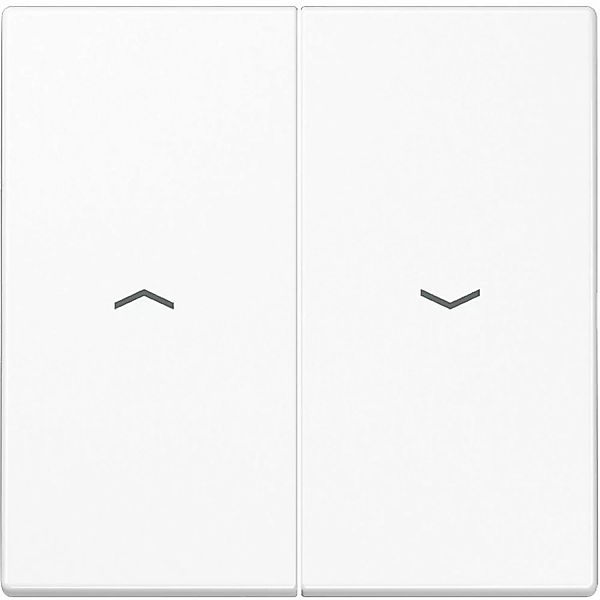 Jung Wippe Symbole aws für Taster LS 995 P WW - LS995PWW günstig online kaufen