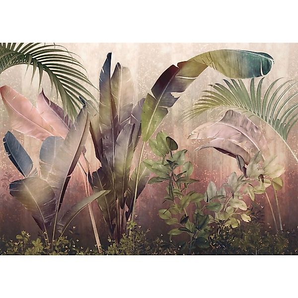 Komar Fototapete Rainforest Mist Grün und Rosa 350 x 250 cm 610018 günstig online kaufen