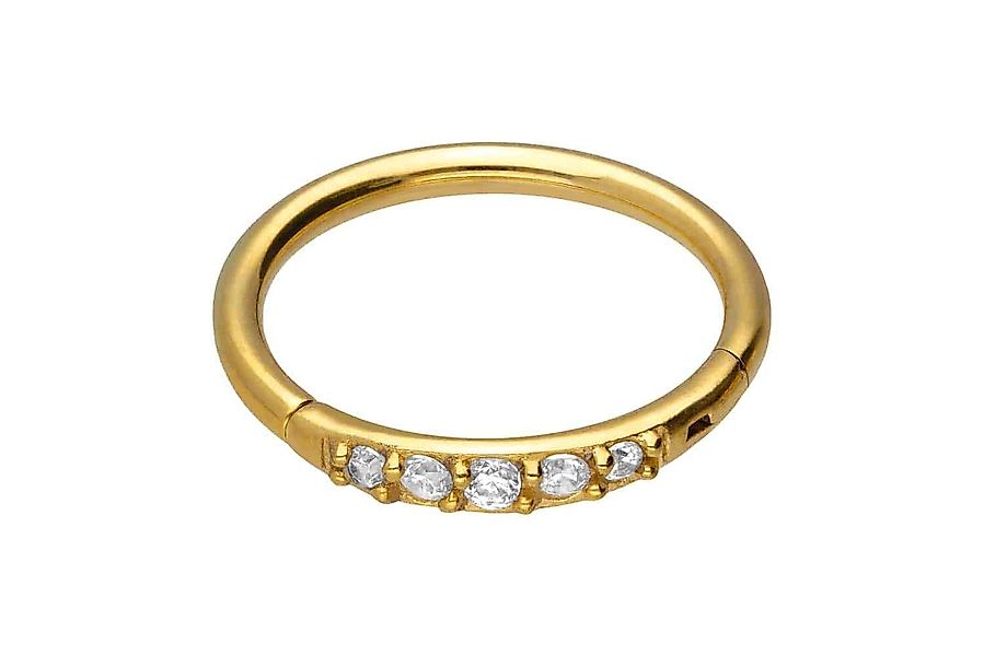 PIERCINGLINE Piercing-Set Chirurgenstahl Segmentring Clicker 5 günstig online kaufen