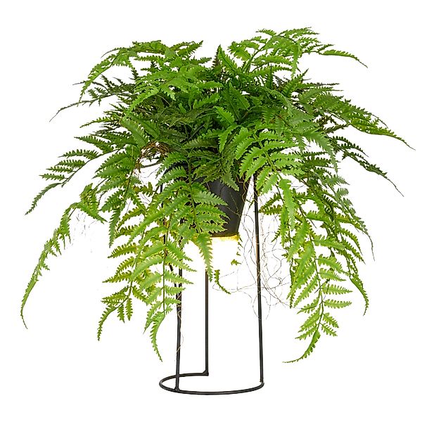 Kunstpflanze Farn als Dekostandleuchte, Creativ green, günstig online kaufen