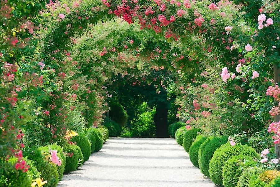 Papermoon Fototapete »Rose Arch Garden« günstig online kaufen