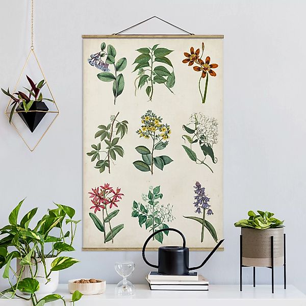 Stoffbild Blumen mit Posterleisten - Hochformat Botanische Schautafel I günstig online kaufen