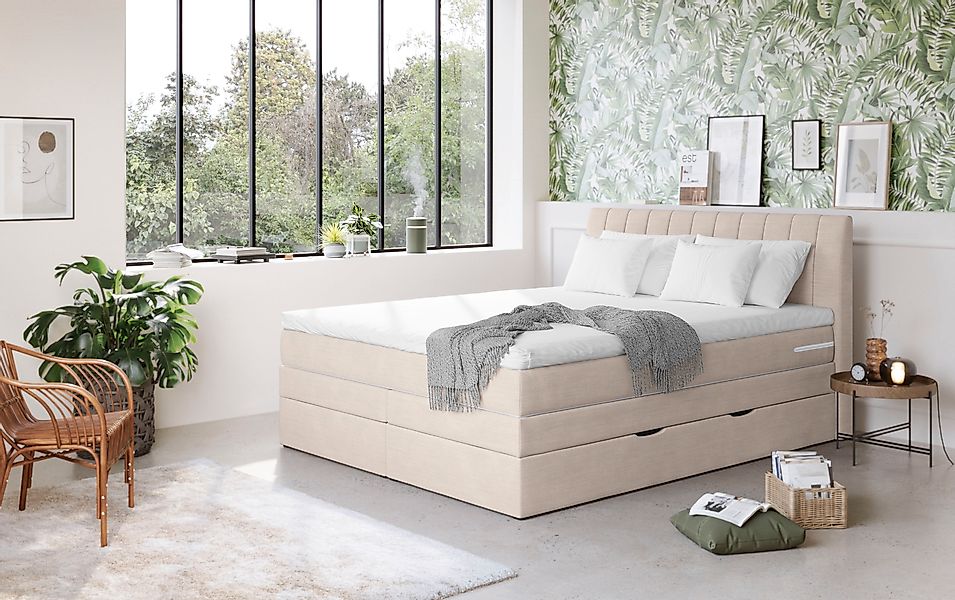 COTTA Boxspringbett »Shark inkl. Bettkasten und Topper« erhältlich in den B günstig online kaufen