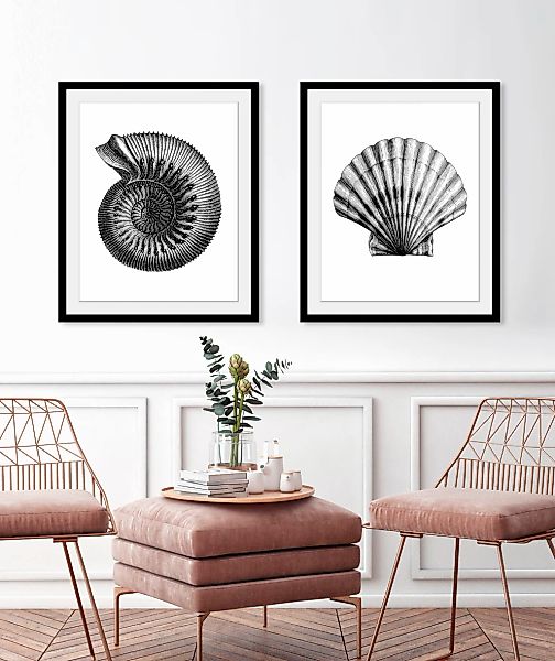 queence Bild "Justus", Meer-Meer Bilder-Kunst-Wassertiere, (1 St.), HD Prem günstig online kaufen