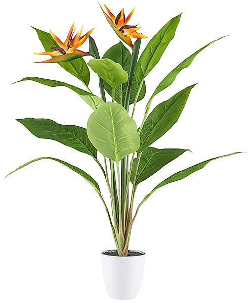 Kunstpflanze Strelitzia, Creativ green, Höhe 80 günstig online kaufen