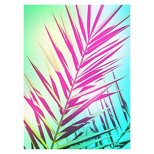 Komar Wandbild Shine Palmenblätter B/L: ca. 50x70 cm günstig online kaufen