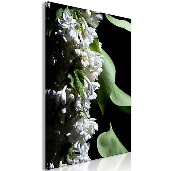 Wandbild - Lilacs Detail (1 Part) Vertical günstig online kaufen
