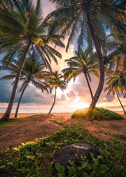 Vlies Fototapete Vertical Paradise 200x280 cm günstig online kaufen