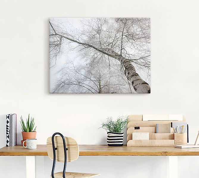 Artland Wandbild »Winter Birke«, Bäume, (1 St.), als Leinwandbild, Wandaufk günstig online kaufen