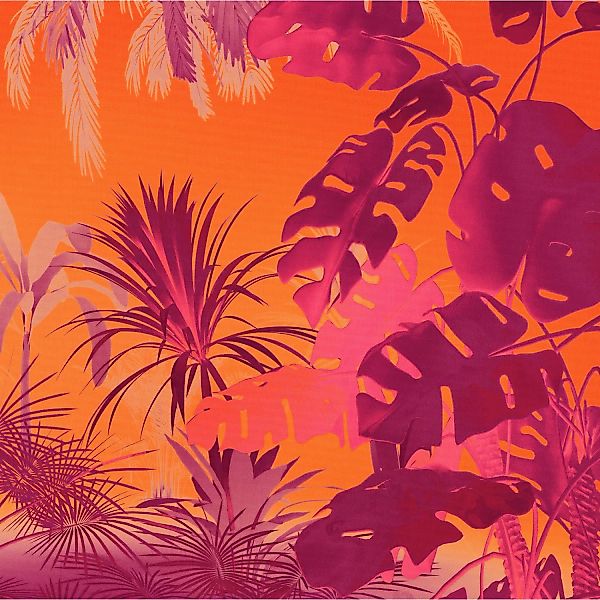 Komar Vliestapete Funky Jungle 250 cm x 250 cm Orange günstig online kaufen
