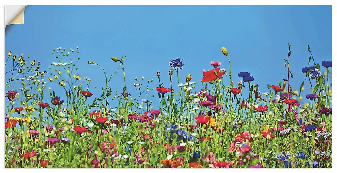 Artland Wandbild »Blumenwiese II«, Blumenwiese, (1 St.), als Leinwandbild, günstig online kaufen