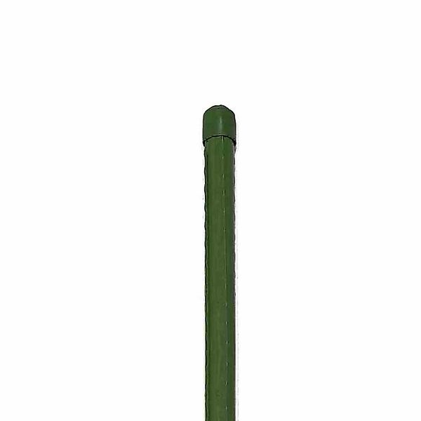 Siena Garden Rankhilfe Pflanzstab 11 mm günstig online kaufen
