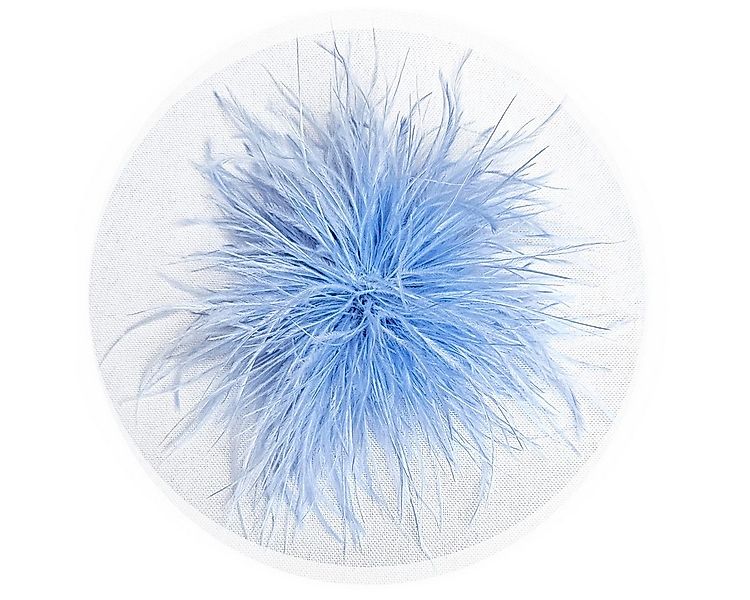 Brosche Federbrosche Hellblau Clip Antecker Federn Klammer Haarklammer Stra günstig online kaufen